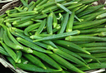 ডায়াবেটিস নিয়ন্ত্রণের মহাঔষধ ঢ্যাঁড়স