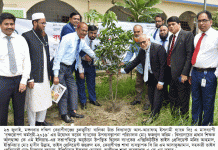 বৃক্ষরোপণ কর্মসূচী ২০১৯ উদ্বোধন করলো আল-আরাফাহ্ ইসলামী ব্যাংক লিমিটেড