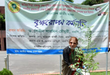 মুজিববর্ষ উপলক্ষে ন্যাশনাল ব্যাংকের পরিচালকের বৃক্ষরোপণ কর্মসূচি