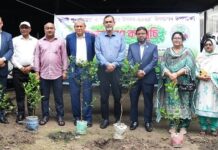 জুলাই পুনর্জাগরণ ও তারুণ্যের উৎসব ২০২৫ উপলক্ষে অগ্রণী ব্যাংকে বৃক্ষরোপণ কর্মসূচি জুলাই পুনর্জাগরণ ও তারুণ্যের উৎসব ২০২৫ উপলক্ষে অগ্রণী ব্যাংকে বৃক্ষরোপণ কর্মসূচি