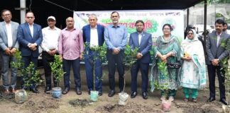 জুলাই পুনর্জাগরণ ও তারুণ্যের উৎসব ২০২৫ উপলক্ষে অগ্রণী ব্যাংকে বৃক্ষরোপণ কর্মসূচি