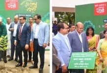 বাংলাদেশ কৃষি ব্যাংক এ বৃক্ষরোপণ কর্মসূচি পালন বাংলাদেশ কৃষি ব্যাংক এ বৃক্ষরোপণ কর্মসূচি পালন