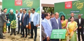 বাংলাদেশ কৃষি ব্যাংক এ বৃক্ষরোপণ কর্মসূচি পালন