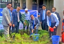 জুলাই পুনর্জাগরণ ও তারুণ্যের উৎসব-২০২৫ উদযাপন উপলক্ষ্যে শাহ্জালাল ইসলামী ব্যাংক পিএলসি’র কর্পোরেট প্রধান কার্যালয়ে বৃক্ষরোপণ কর্মসূচির আয়োজন জুলাই পুনর্জাগরণ ও তারুণ্যের উৎসব-২০২৫ উদযাপন উপলক্ষ্যে শাহ্জালাল ইসলামী ব্যাংক পিএলসি’র কর্পোরেট প্রধান কার্যালয়ে বৃক্ষরোপণ কর্মসূচির আয়োজন