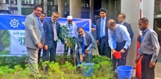 জুলাই পুনর্জাগরণ ও তারুণ্যের উৎসব-২০২৫ উদযাপন উপলক্ষ্যে শাহ্জালাল ইসলামী ব্যাংক পিএলসি’র কর্পোরেট প্রধান কার্যালয়ে বৃক্ষরোপণ কর্মসূচির আয়োজন