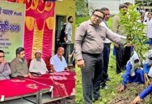 শাহ্জালাল ইসলামী ব্যাংক পিএলসি এর উদ্যোগে যশোর জেলার বাঘারপাড়া উপজেলায় বৃক্ষরোপণ কর্মসূচির আয়োজন