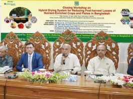 মার্কেন্টাইল ব্যাংক এর অনুদানে বাকৃবি’তে কৃষি গবেষণা প্রকল্পের সমাপনী কর্মশালা অনুষ্ঠিত