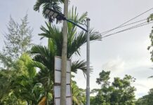 শাহ্জালাল ইসলামী ব্যাংক ফাউন্ডেশনের উদ্যোগে লক্ষ্মীপুরে ৫০ ইউনিট সোলার লাইট স্থাপন