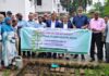খুলনা বিশ্ববিদ্যালয়ে আল-আরাফাহ্ ইসলামী ব্যাংক এর বৃক্ষরোপণ কর্মসূচি